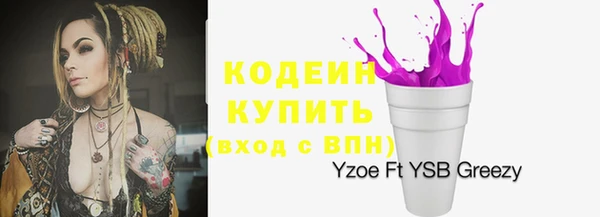 дурь Кодинск