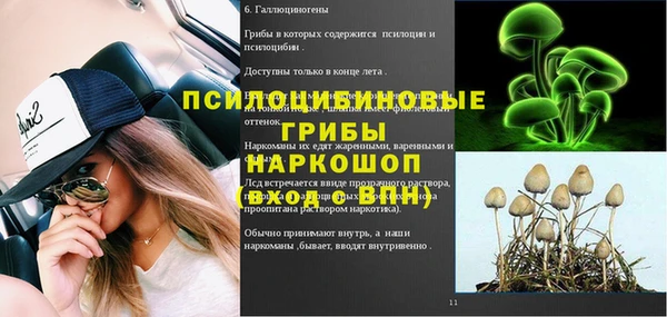 дурь Кодинск