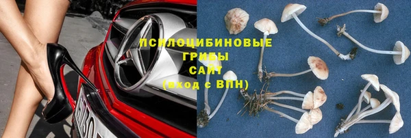 хмурый Козельск