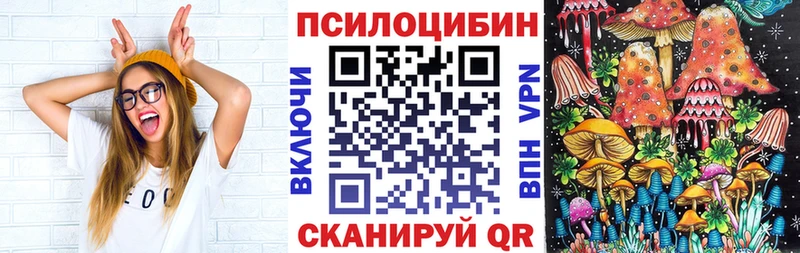 Псилоцибиновые грибы GOLDEN TEACHER  Купить  Динская 